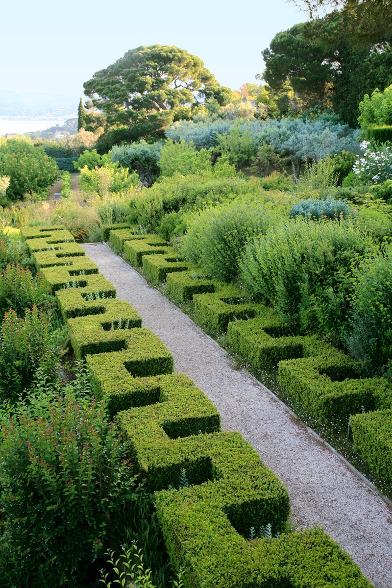 zigzag hedges and path