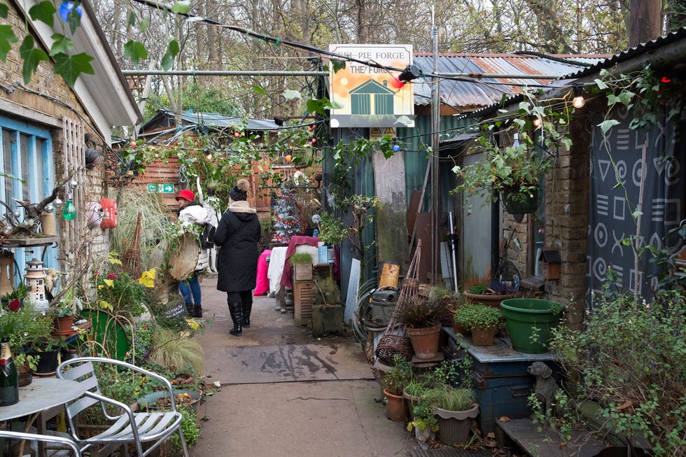 Neighbourhood, Marketplace, Building, Town, Alley, Street, Floristry, Tree, Yard, Plant, 