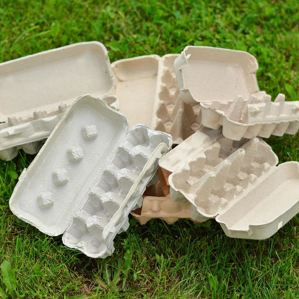 egg carton boxes and cardboard packs on green grass, reusable packaging and recycling food package