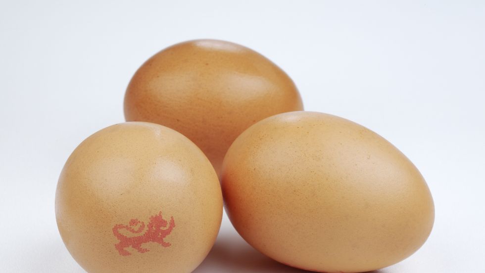 a group of brown eggs