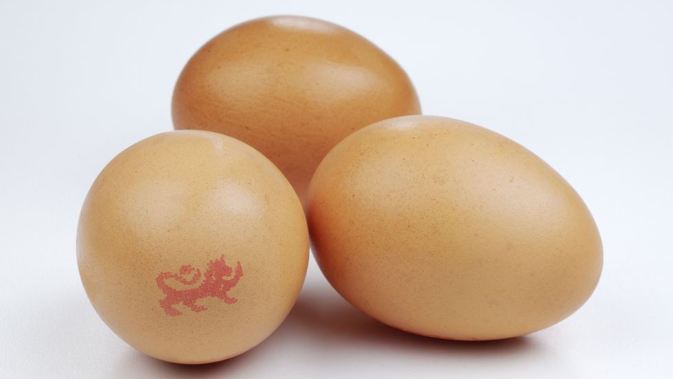 a group of brown eggs