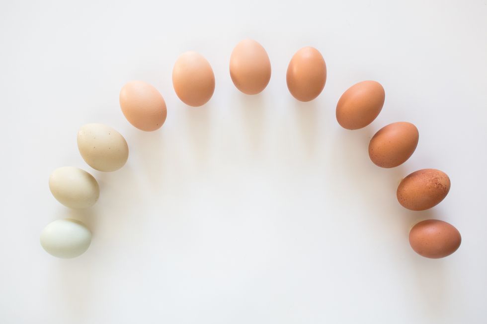 eggs in a color gradient arranged in a rainbow shape