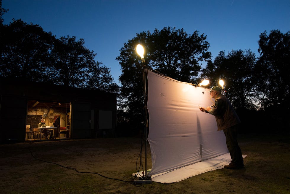 In natuurgebied de Kaaistoep bij Tilburg verzamelen Paul van Wielink rechts Guido Stooker en Henk Spijkers niet op de foto elk jaar insecten die afkomen op een met lampen beschenen wit laken Op basis van onder meer dit langlopende onderzoek en een tweede bij het Drentse Wijster concludeerden onderzoekers van de Radboud Universiteit Nijmegen dat het aantal nachtvlinders in ruim twintig jaar is gedaald met 54 procent en het aantal loopkevers met 72 procent