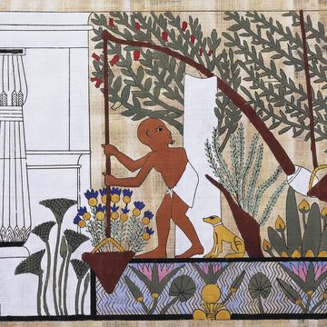 een oude egyptische fresco met daarop een hond en zijn eigenaar