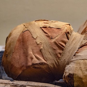 Egyptian mummy head close up detail of egyptian mummy head close up detail of