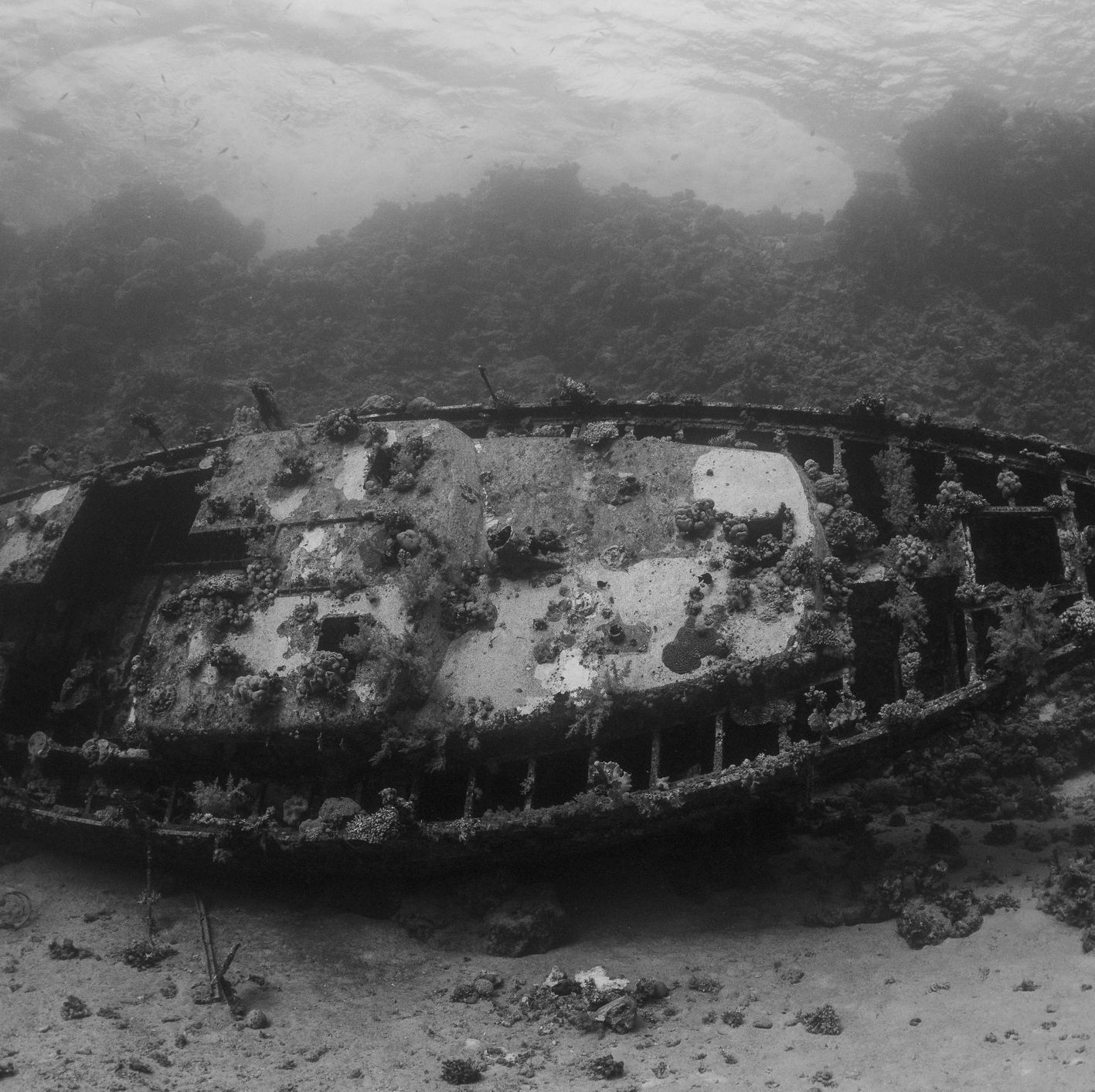 A Diver Stumbled Upon the Treasure of a Lifetime—and It May Lead to a Hidden Shipwreck