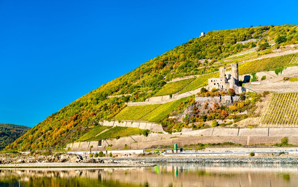 Rhine River - Rhine River cruise