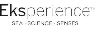 EKSperience Logo