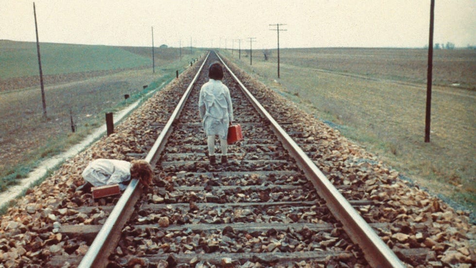 el espiritu de la colmena