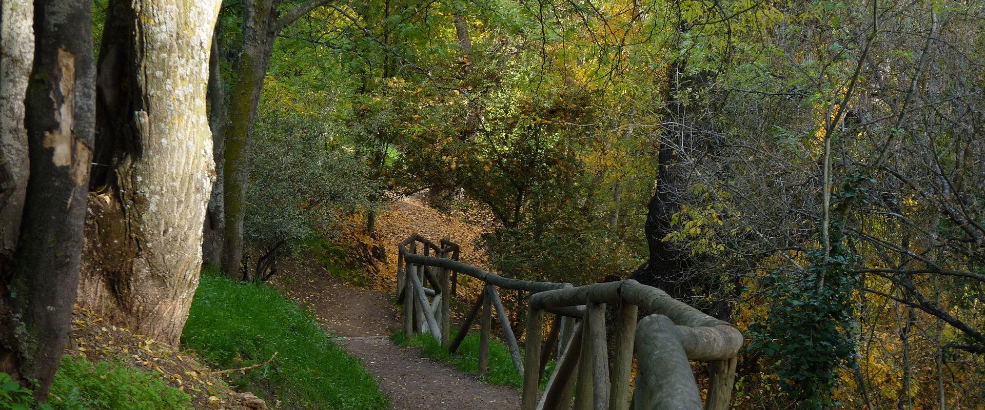 el pardo
