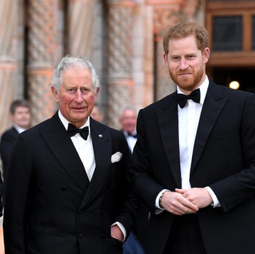 El príncipe Harry y el rey Carlos III el príncipe harry y el rey carlos iii