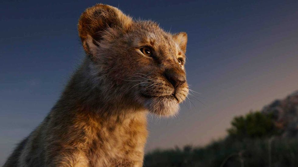el rey leon 2019 pelicula