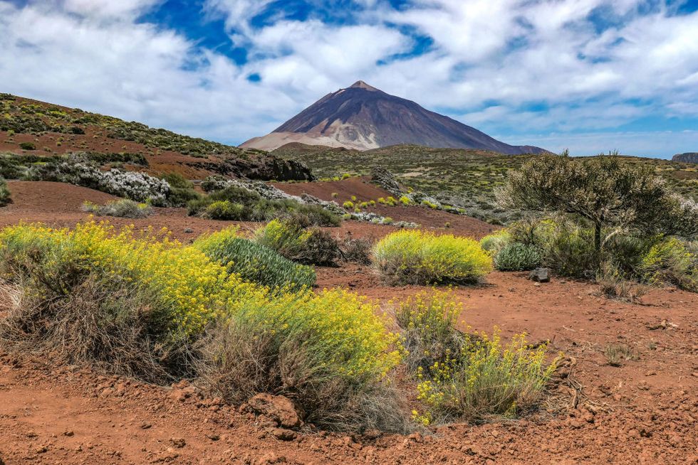 panorama of el teide volcano mountain in tenerife