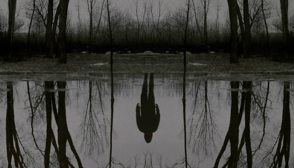 Reflection, Water, Black, Nature, Bayou, Swamp, Tree, Natural environment, Wetland, Natural landscape, 