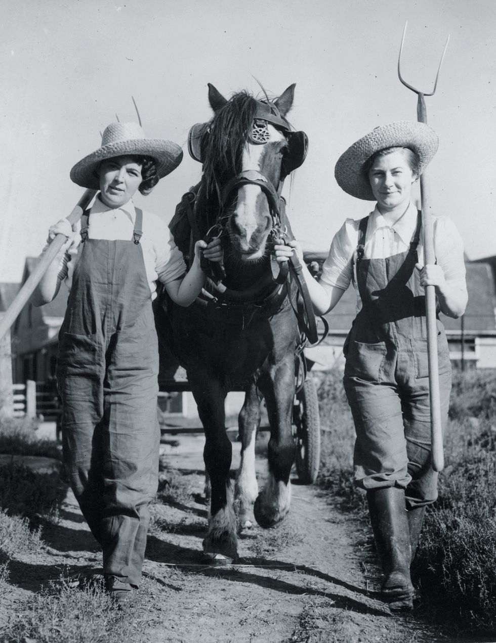 13th september 1939 two land army girls carrying pitchforks and sporting straw hats to go with their dungarees their carthorse however has no hat photo by maeersfox photosgetty images