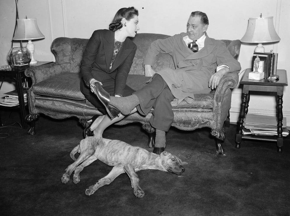 vintage celebrities at home   elaine barrie barrymore puts slippers on her spouse john bar