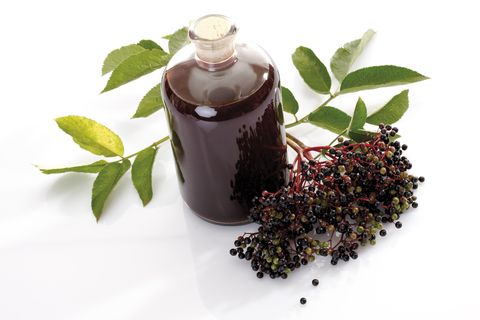 Elderberry wine and black elder (Sambucus nigra), elevated view