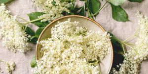 how to use and forage elderflower
