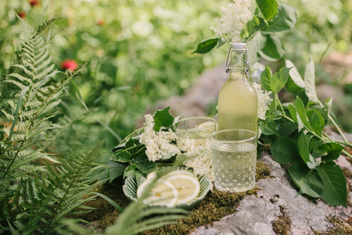 elderflower-cordial-647efd07c7672