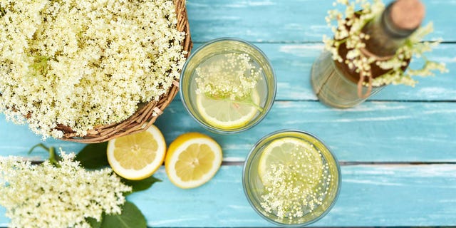 elderflower recipes