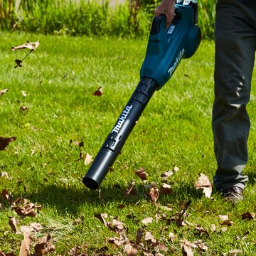 using makita cordless electric leaf blower to move dead leaves on grass