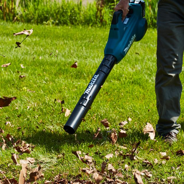 10 Best Leaf Vacuums of 2024, Tested by Experts