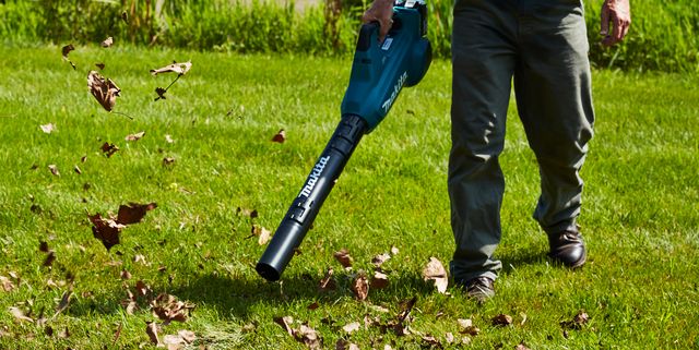 The 6 Best Electric Leaf Blowers, Tested and Reviewed