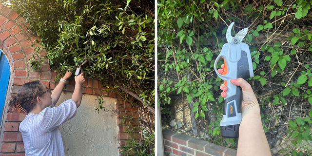 electric secateurs review