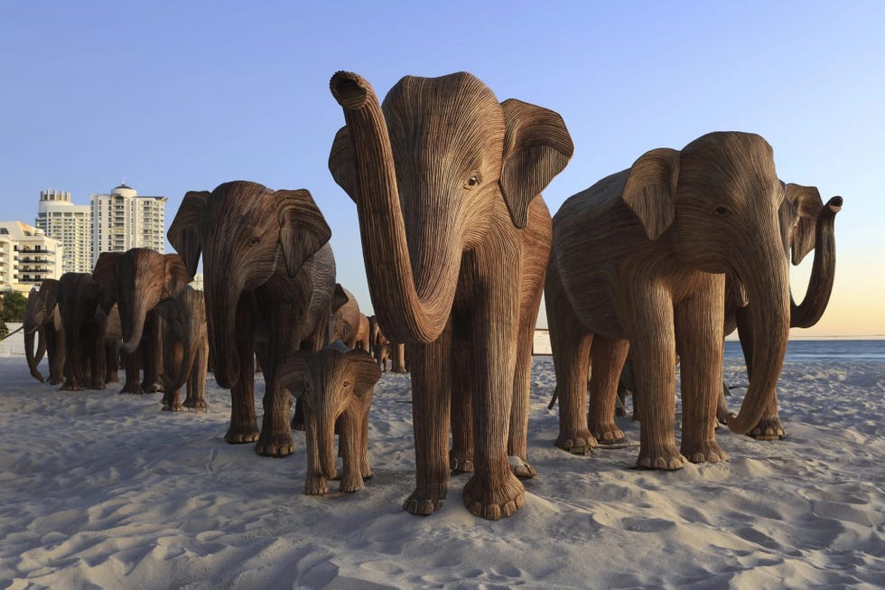 group of wooden elephant sculptures on a beach