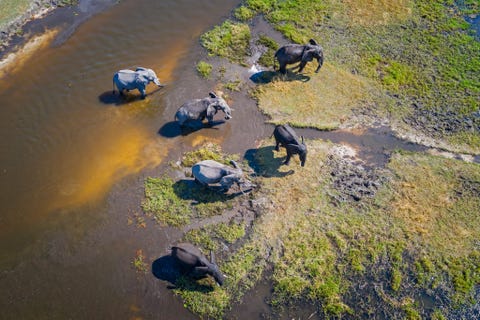 BOTSWANAMet natuurwonderen als de Victoriawatervallen en de woeste rivier de Zambezi hebben veel mensen een bezoek aan Botswana op hun bucket list staan Verken dit land in een rustig tempo middels een wandelsafarimetgids door de Okavangodelta Kinderen voor wie een traditionele safari misschien wat te zwaar is zullen genieten van de twaalfdaagse tour Botswana with Kids van Deeper Africa De tocht is bedacht door directeur Karen een voormalige lerares en omvat activiteiten als het volgen van dierensporen trommelen en mandenvlechten Onderweg zien de kids ook de nodige nijlpaarden olifanten en langoesten