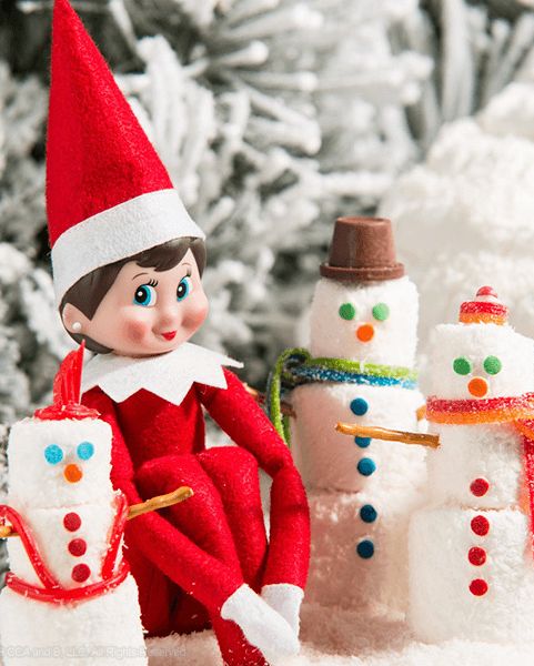 elf on the shelf return idea with marshmallow snowmen, small snow flocked evergreen trees, fake snow