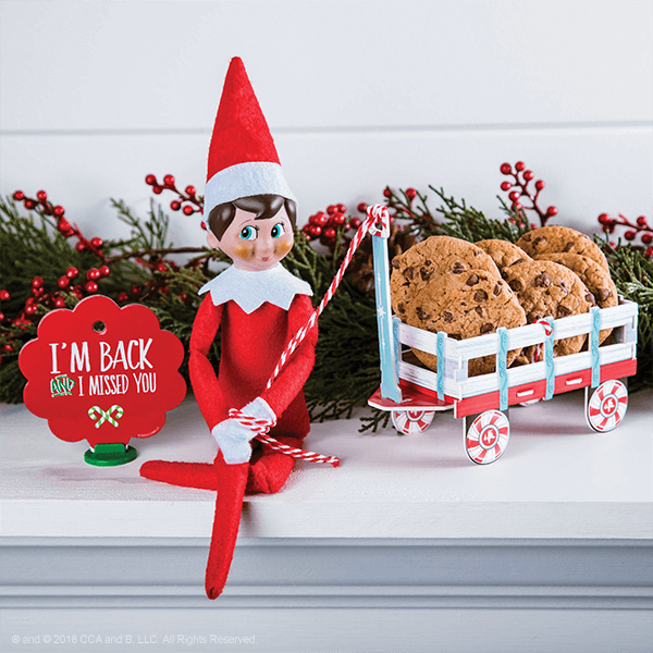 Best Elf on the Shelf Ideas 2019: New and Easy Ideas, Where to Buy and How  to Register the Elf's Name