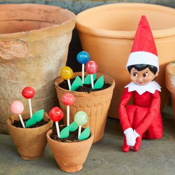 a small toy gnome in a garden