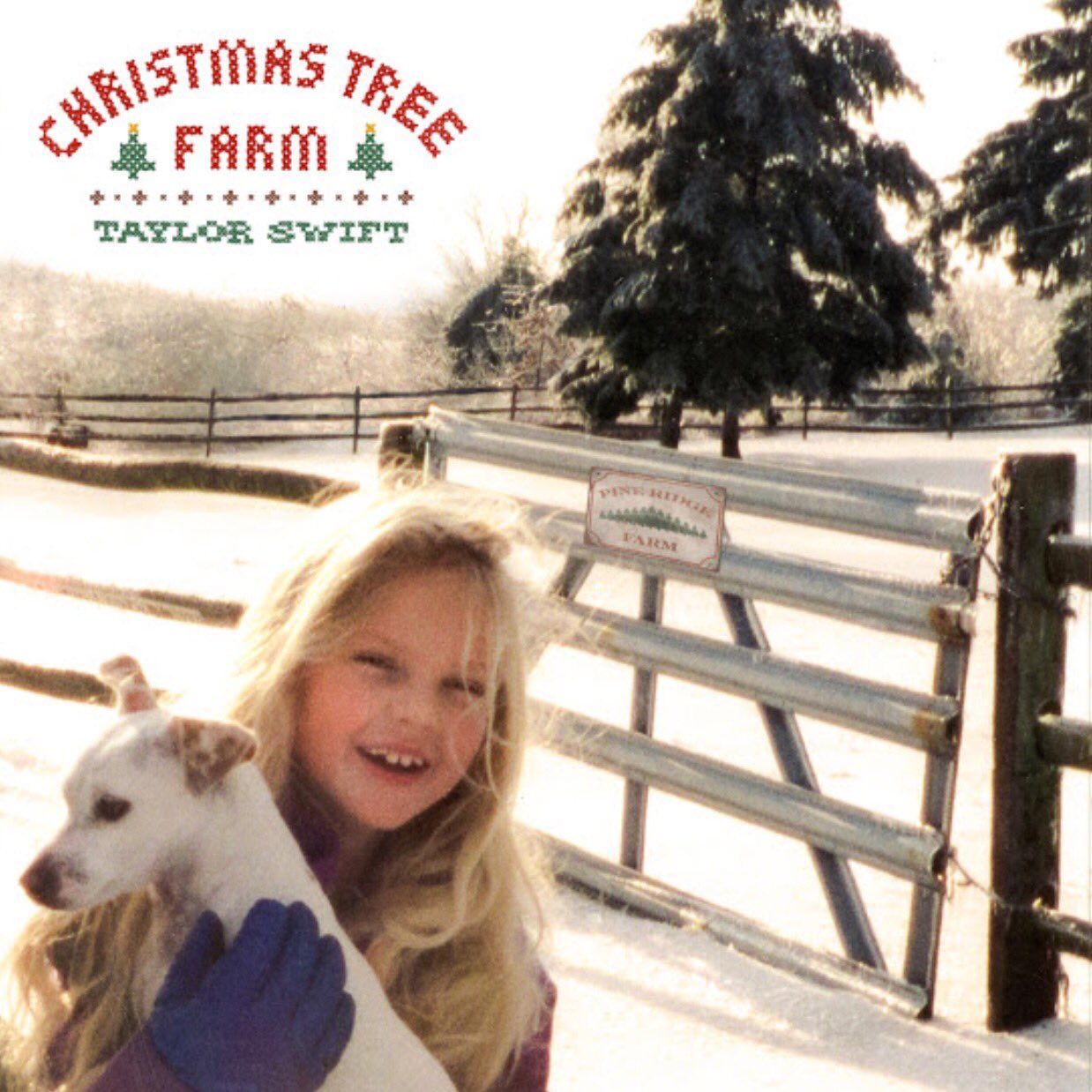 Christmas tree farm taylor outlet swift