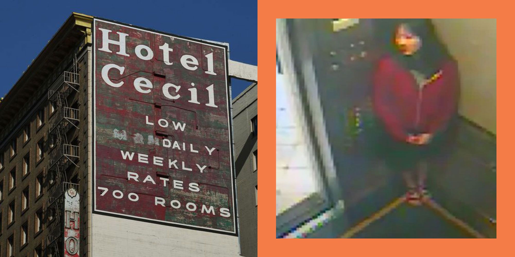 Elisa Lams disappearance at the Cecil Hotel All the theories image pic