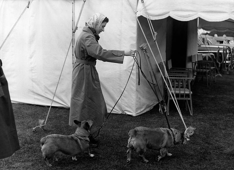 elizabeth ii of gb with her dogs