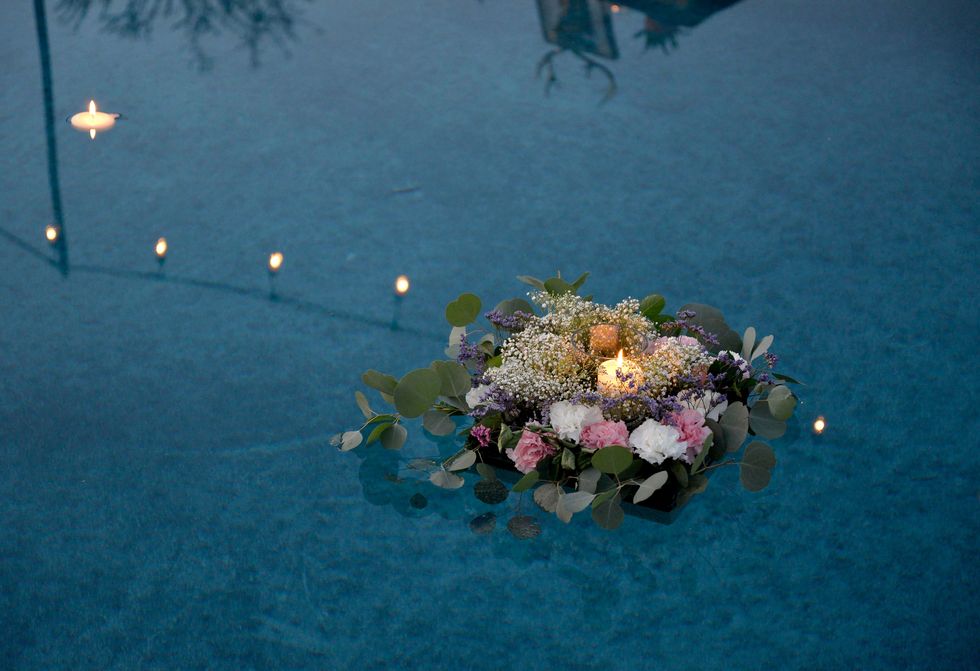 Blue, Flower, Water, Plant, Reflection, Photography, Bouquet, Floral design, Floristry, Sea, 