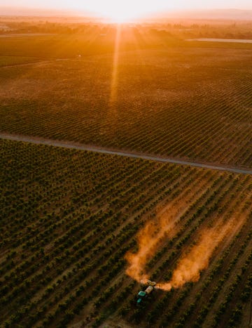 a person on a rope in a field