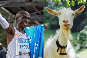 eliud kipchoge, ganador del maratón de berlín 2022