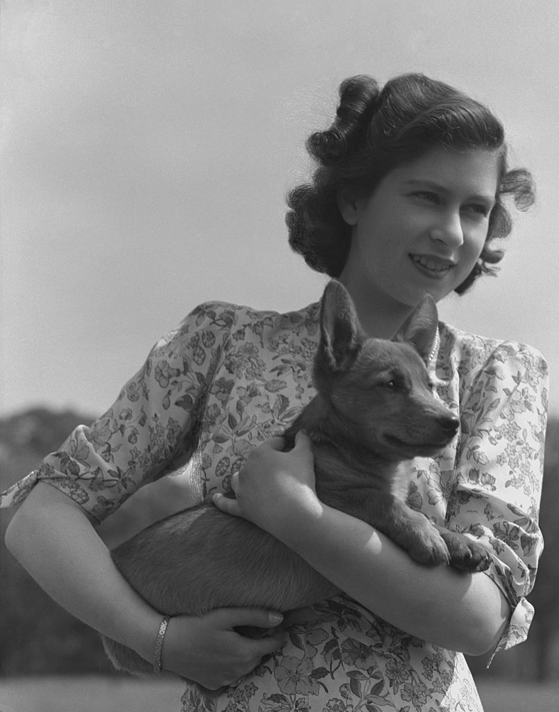 princess elizabeth queen elizabeth ii pictured holding a corgi in the grounds of windsor castle, berkshire, great britain, 30 may 1944 photo by lisa sheridanstudio lisahulton archivegetty images