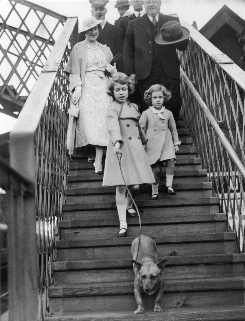 the queen corgis