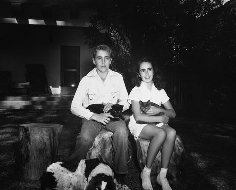 liz taylor wbrother howard and cats