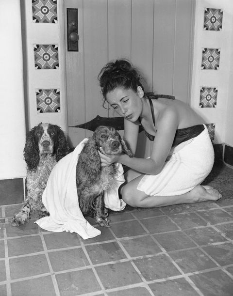 young actress elizabeth taylor toweling off her dog