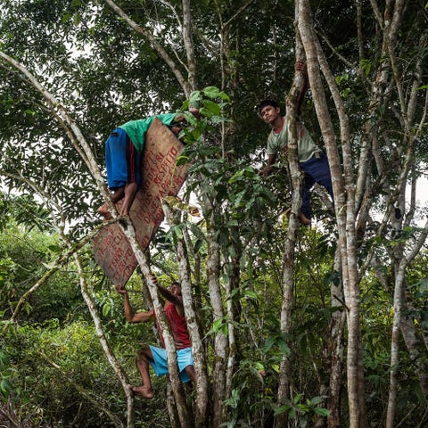 elkaim_amazon_dam 2014 Mundurukukrijgers hangen een bord op waarmee ze bezoekers vragen hun territorium langs de rivier de Tapajs te respecteren Na jaren van strijd boekten de Munduruku succes met hun pleidooi bij de regering om hun traditionele grondgebied officieel erkend te krijgen