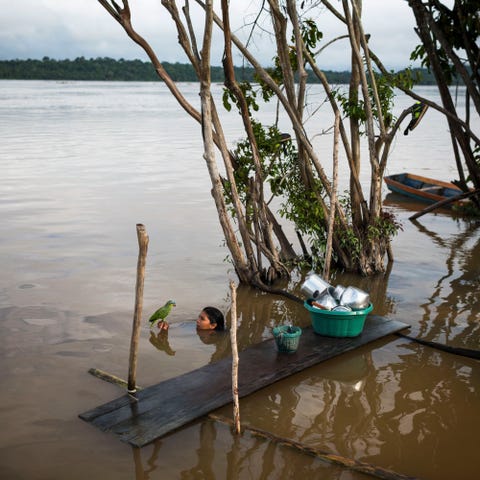 elkaim_amazon_dam Lucicleide Kurap uit het Mundurukudorp Dac Watpu ontspant zich na de afwas met haar huisparkiet in de rivier de Tapajs in de Braziliaanse deelstaat Par