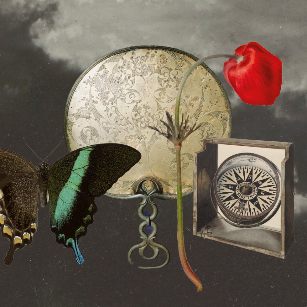 a collage of a butterfly, a red flower, a compass, and a fan