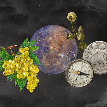 a collage of a planet, grapes, a compass, and a medallion with the gemini twins