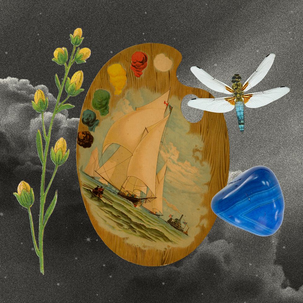 a collage of an artist palette, some flowers, a rock, and a dragonfly