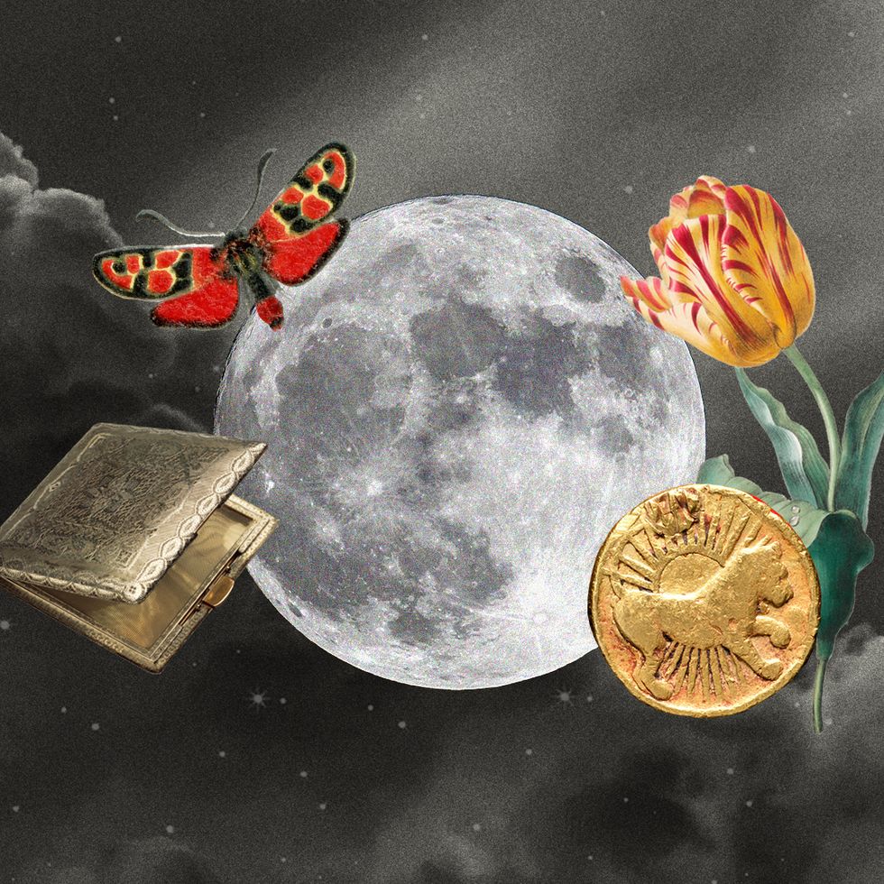 a collage of a full moon, dragonfly, flower, and coin