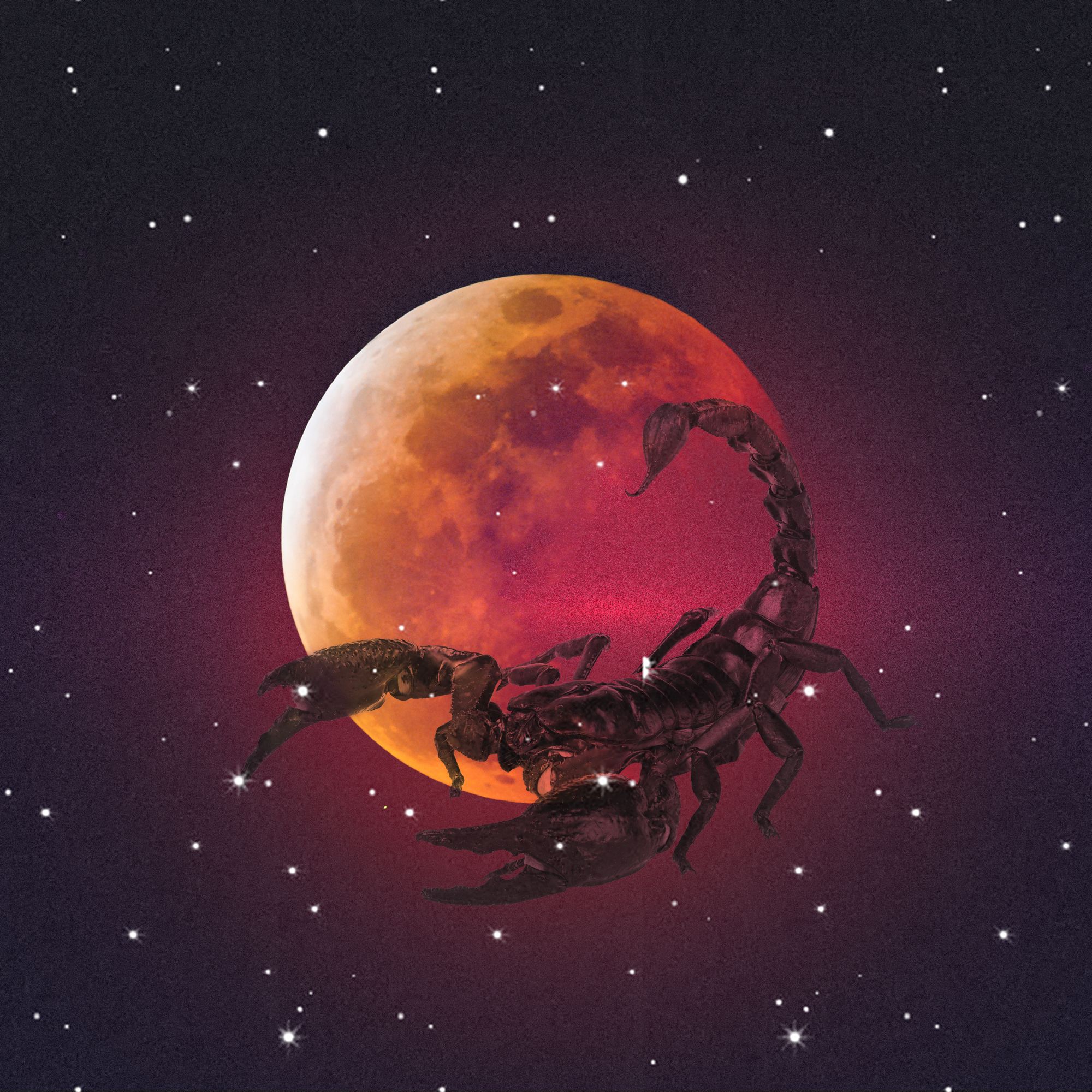 What May’s Scorpio Flower Moon Lunar Eclipse Means for Your Zodiac Sign